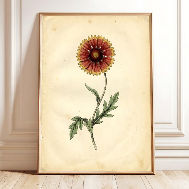 Vintage botanische Wandkunst Poster (Von Creator hochgeladen)