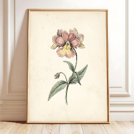 Vintage Botanischer Antiker Wandkunst Druck Poster