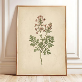 Vintage Botanischer Druck Wandkunst Boho-Stil Poster