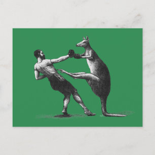 Vintage-Boxen-Känguru-Postkarte Postkarte