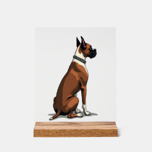 Vintage-Boxerhund von hinten Illustration Braun W Acrylschild