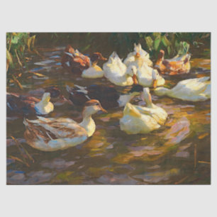 Vintage braune Schwarz-weiße Enten im Teich Seidenpapier