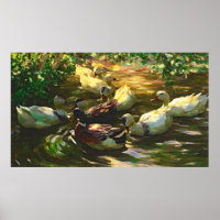 Vintage braune und weiße Enten in einem Teich