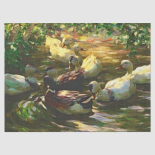 Vintage braune und weiße Enten in einem Teich Seidenpapier
