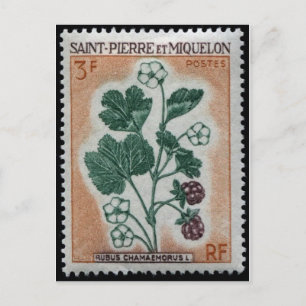 Vintage Briefmarke Postkarte