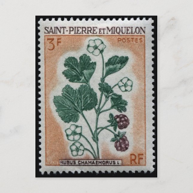 Vintage Briefmarke Postkarte (Vorderseite)