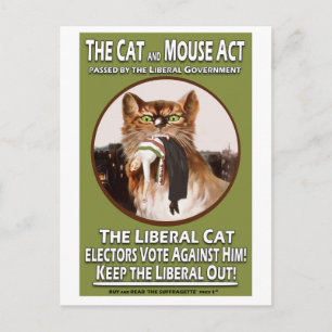 Vintage britischer Suffragetten-Cat-and-Mouse-Act Postkarte