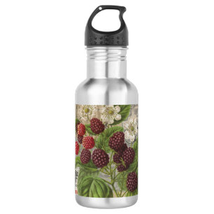 Vintage Brombeeren Französische Ephemera Art Colla Edelstahlflasche