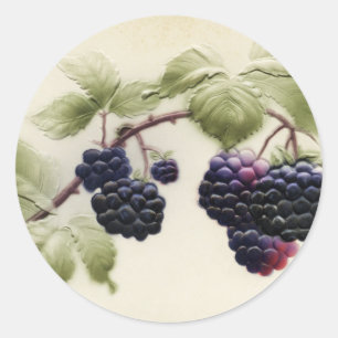 Vintage Brombeeren und Blätter Postkarten Kunst Runder Aufkleber