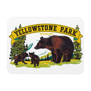 Vintage Brown Bears in Yellowstone National Park Magnet