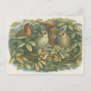 Vintage-Buchillustration von Fee, Eulen und Vogel Postkarte