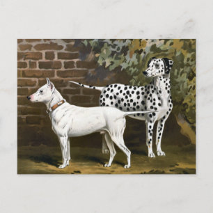 Vintage Bull Terrier und Dalmatiner Hunde Kunst Postkarte