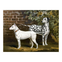 Vintage Bull Terrier und Dalmatiner-Hundekunst