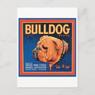 Vintage Bulldog-Marke Kistenetikett Postkarte