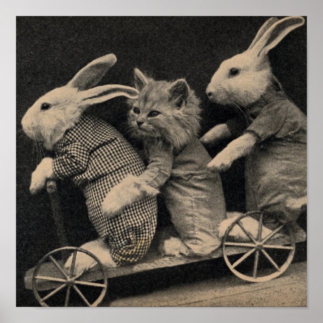 Vintage - Bunnies & Kitten Travelers, Poster (Vorne)