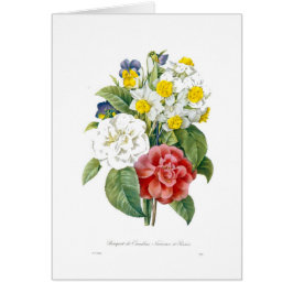 Vintage bunte botanische Blume von Redoute.