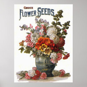 Vintage Bunte Einjährige Samenpacket Poster