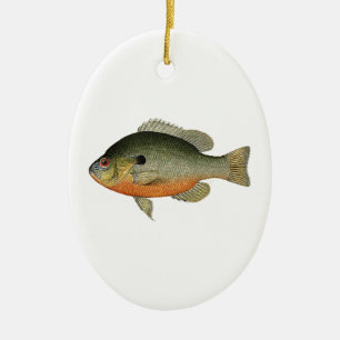 Vintage bunte Sunfish-Illustration Keramik Ornament