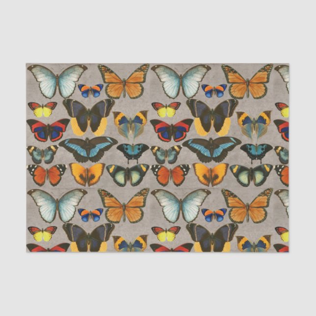 Vintage Butterfly-Farbenfrohe Entomologie Seidenpapier (Vorderseite)