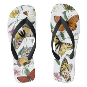 Vintage Butterfly & Moth-Malerei Flip Flops