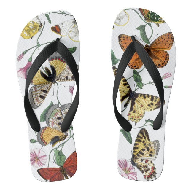 Vintage Butterfly & Moth-Malerei Flip Flops (Fußbett)