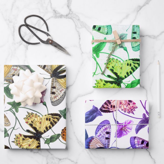 Vintage Butterfly & Moth-Malerei Geschenkpapier Set (Vorderseite)