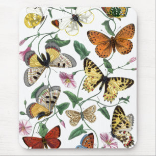 Vintage Butterfly & Moth-Malerei Mousepad