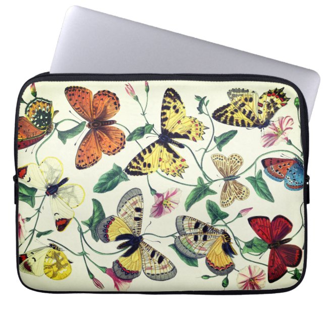Vintage Butterfly & Moth Painting (klassischer Fil Laptopschutzhülle (Vorderseite)