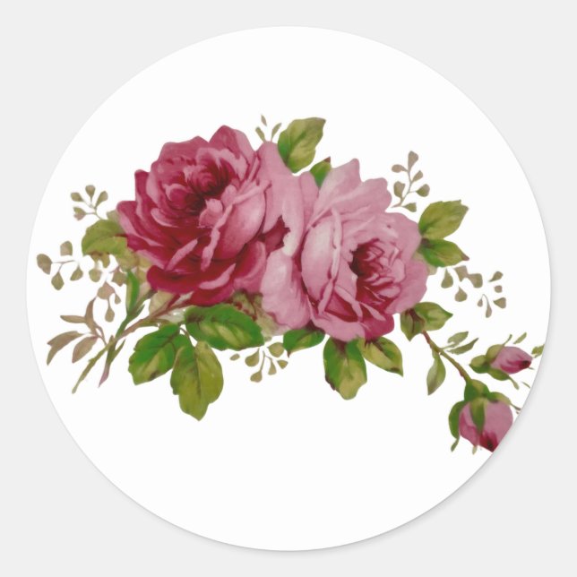 Vintage Cabbage Rose Elegance Sticker (Vorderseite)