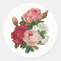 Vintage Cabbage-Rose - Weißer Hintergrund