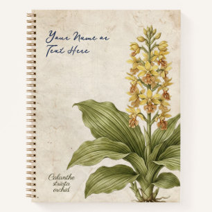 Vintage Calanthe Striata Botanische Fälschung Notizbuch