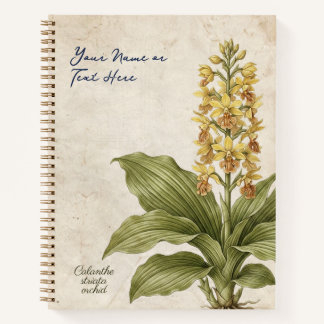 Vintage Calanthe Striata Botanische Fälschung Notizbuch