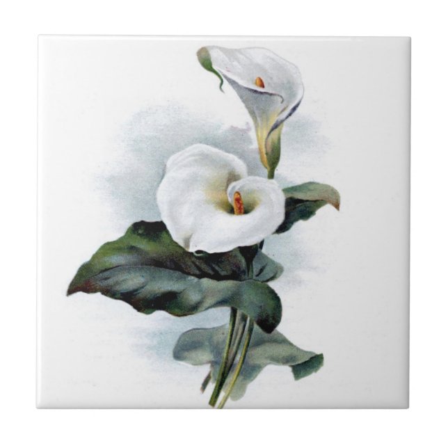 Vintage Calla Lilie Fliese (Vorderseite)