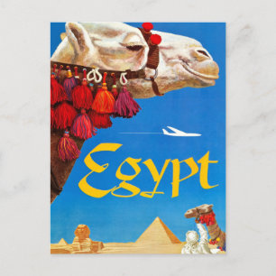 Vintage Camel and Pyramids Postkarte