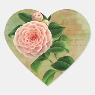 Vintage Camellia Französischer Botanischer Druck Herz-Aufkleber
