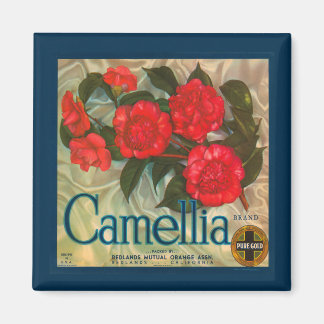 Vintage Camellia Marken Magnet