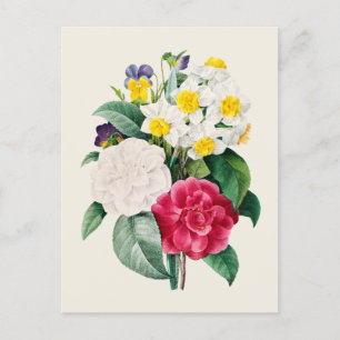 Vintage Camellia Narzissen und Stiefmütterchen Blu Postkarte