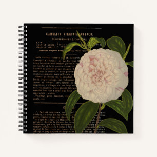 Vintage Camellia Virginia Franco Schwarz Notizbuch