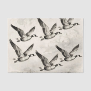 Vintage-Canadagänse im Flug - Gravur Seidenpapier