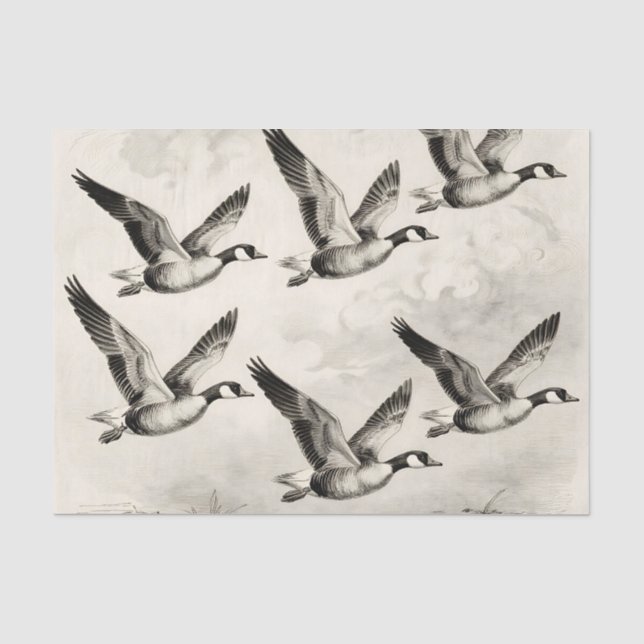Vintage-Canadagänse im Flug - Gravur Seidenpapier (Vorderseite)