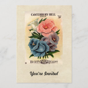 Vintage Canterbury Gells Blume Saatgut Packung Einladung
