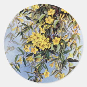 Vintage Carolina Jessamine Gelbe Blumen Floral Runder Aufkleber