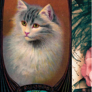 Vintage Cat Illustration Art Poster