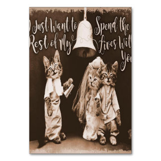 Vintage Cat Wedding |Niedliche Katzengestaltung Tischnummer