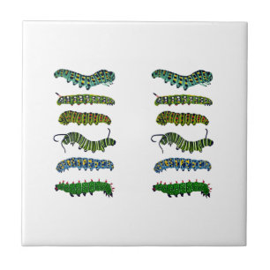 Vintage Caterpillar-Illustration Tasse Fliese