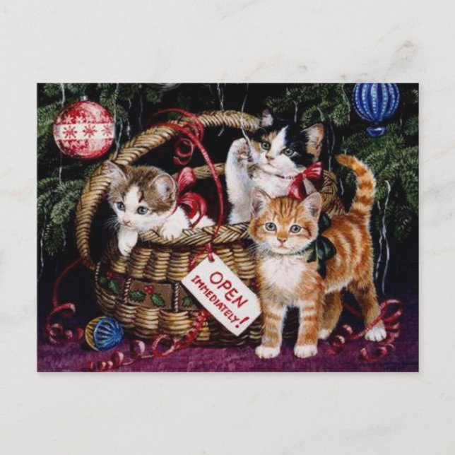 Vintage Cat's Merry Christmas Post Card Feiertagspostkarte (Vorderseite)
