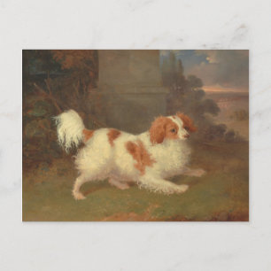 Vintage Cavalier King Charles Spaniel Gemälde Postkarte
