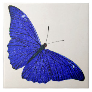 Vintage Ceruleanblauer Schmetterling 1896 Vorlage Fliese