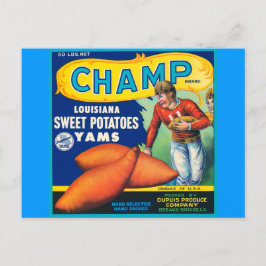 Vintage Champ-Markenbezeichnung Süßkartoffeln Postkarte