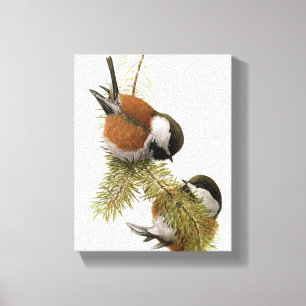 Vintage Chestnut-backed Chickadee Leinwanddruck
